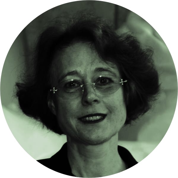 Image of Prof. Dr. Elke van der Meer