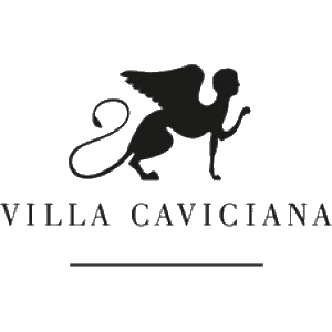 Logo des Partners